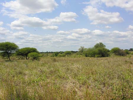 Foto Landschaften - 