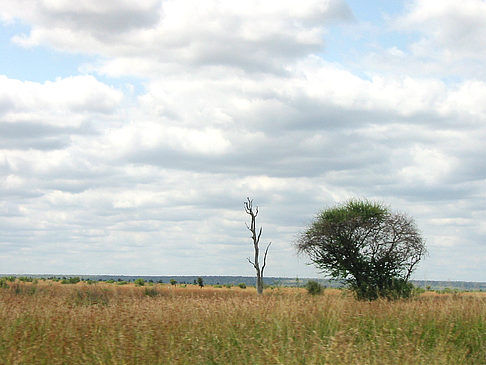 Landschaften