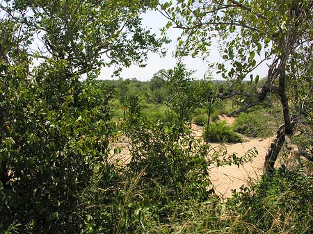 Landschaften Foto 