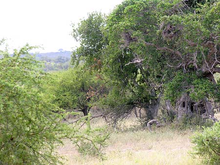 Landschaften