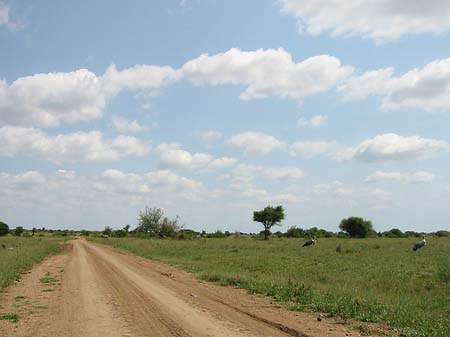 Fotos Straßen