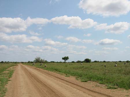 Foto Straßen