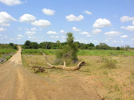 Fotos Straßen
