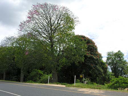 Straßenränder