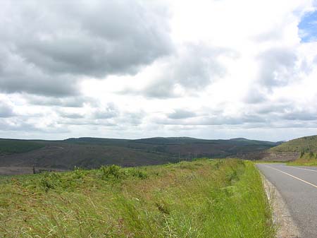 Fotos Straßenränder