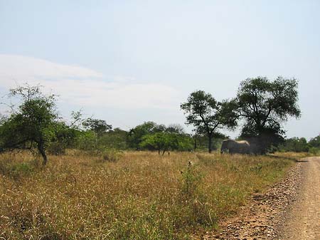 Foto Straßenrand
