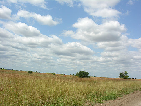 Fotos Straßenrand | 