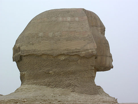 Foto Sphinx - 