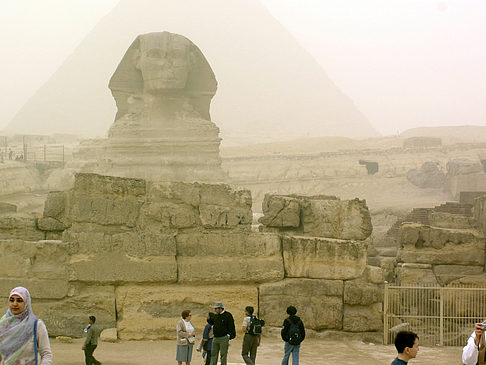 Foto Sphinx
