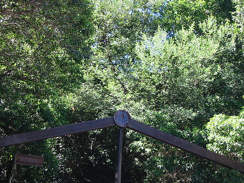 Schilder