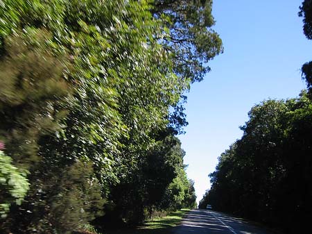 Straßen