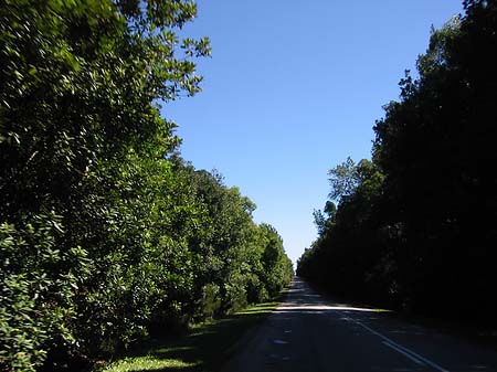 Straßen Fotos