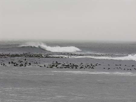 Fotos Blick vom Kap auf das Meer