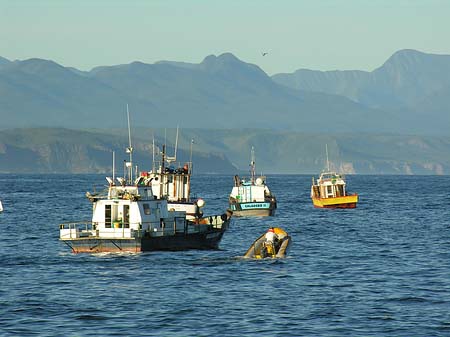 Foto Boote nahe dem Strand