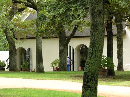 Grundstück Foto 