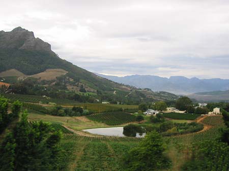 Foto Landschaften um Stellenbosch