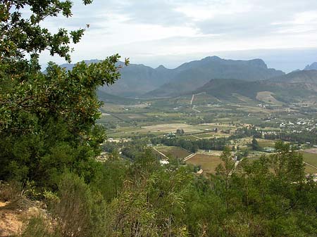 Foto Landschaften um Stellenbosch - 