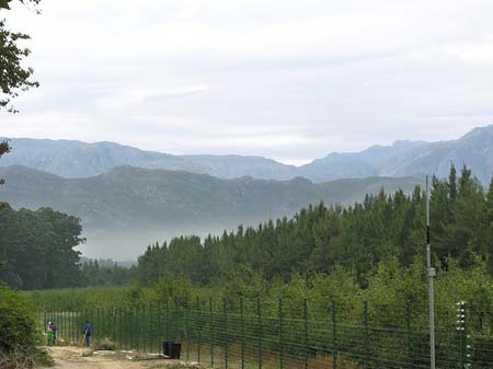 Landschaften um Stellenbosch Foto 