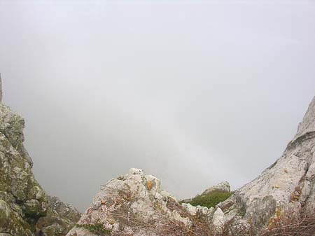 Fotos Nebel in Kapstadt | 