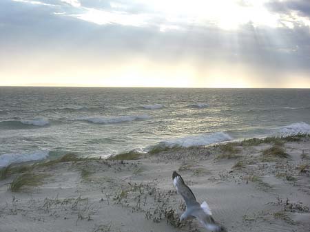 Strand von Kapstadt