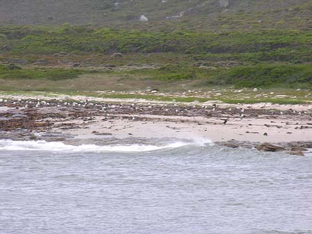 Foto Strand - 