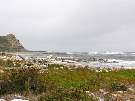 Straßenränder Foto 