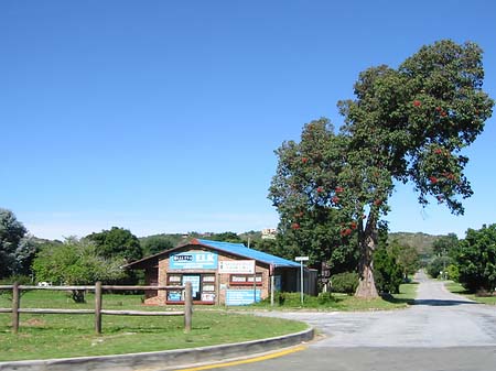 Foto Straßenrand