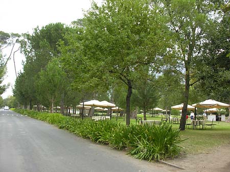 Foto Straßenrand - 