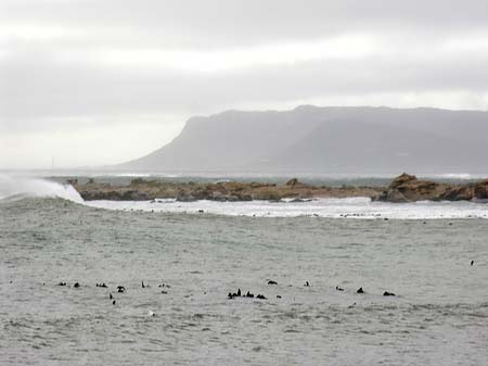 Fotos Der Tafelberg hinter dem Meer | 