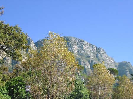 Foto Der Tafelberg