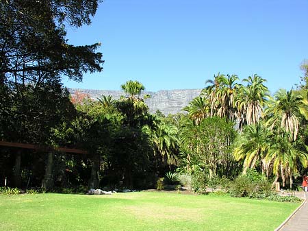 Fotos Kapstadt und Camps Bay | 