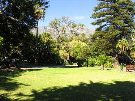 Kapstadt und Camps Bay Fotos