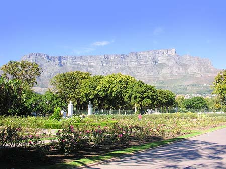 Kapstadt und Camps Bay Fotos