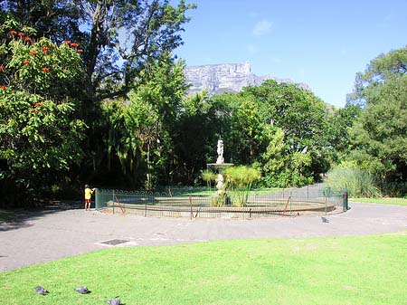 Foto Kapstadt und Camps Bay