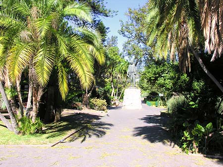 Fotos Kapstadt und Camps Bay